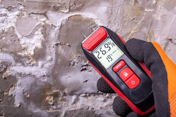 Mamou, LA Mold Removal Company